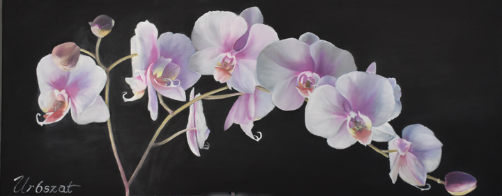 Artwork by Karen Urbszat