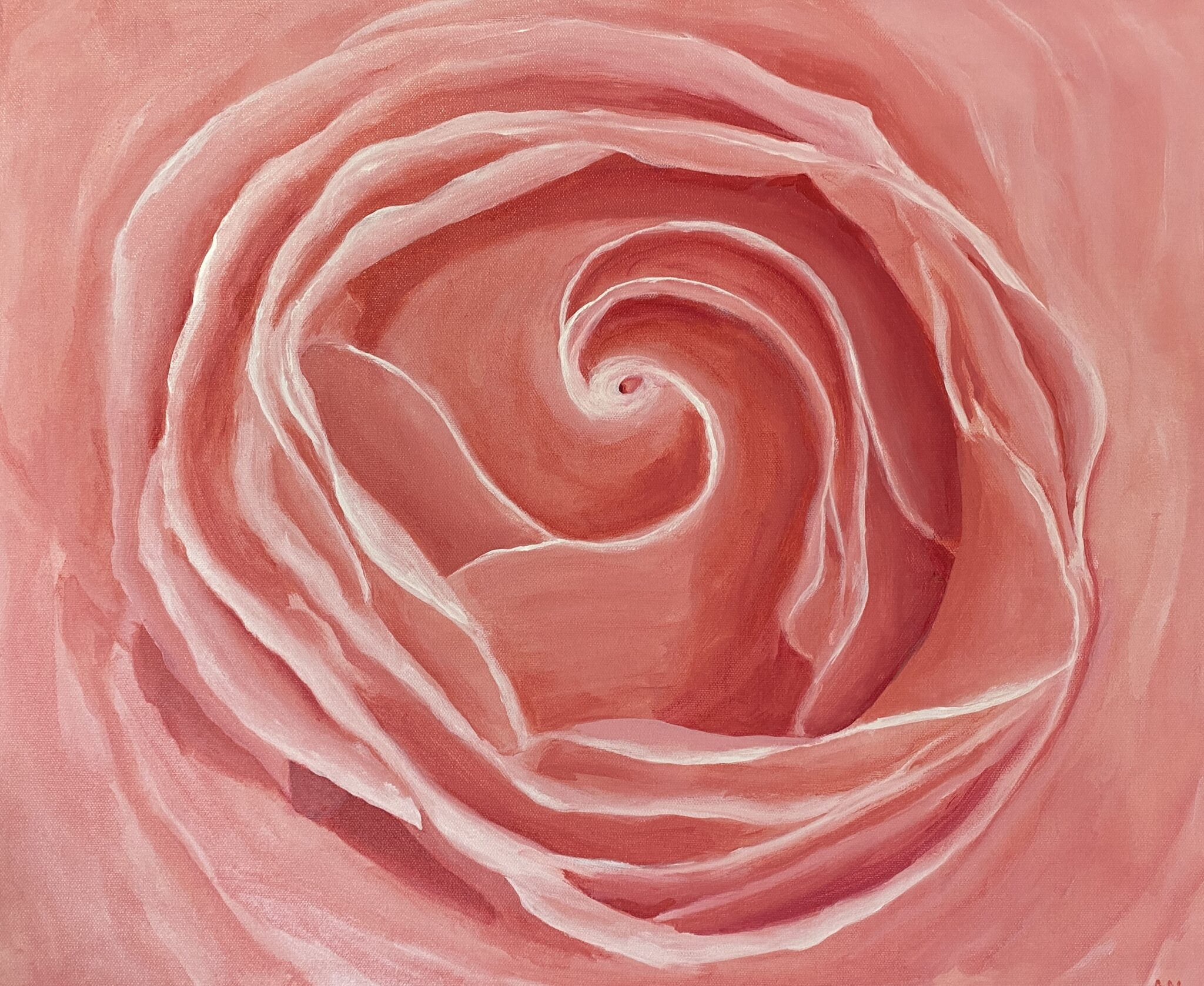 Rose painting by Anna Novakovic