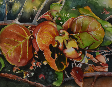 Artwork by Sheila Clark
